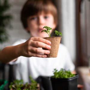 Projetos Inovadores da Helping Hand: Mudando Vidas Um Passo de Cada Vez